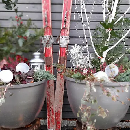 Feriehus La Loge Du Pic Noir Dabo