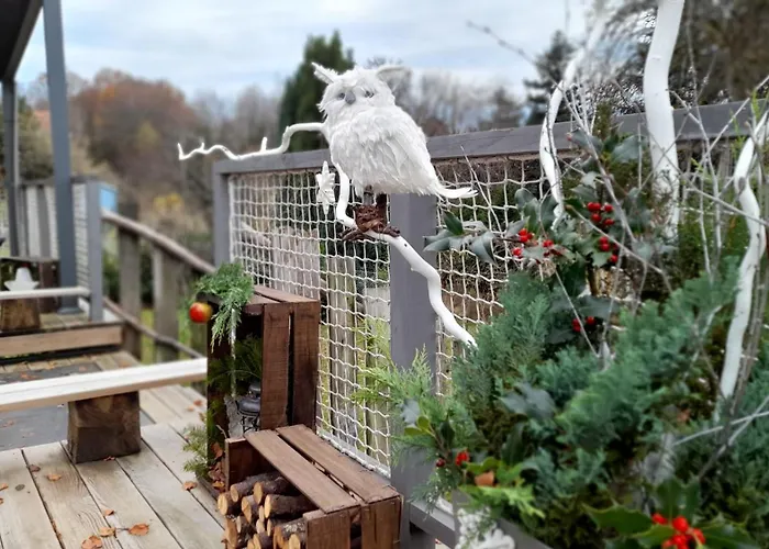 La Loge Du Pic Noir * Dabo