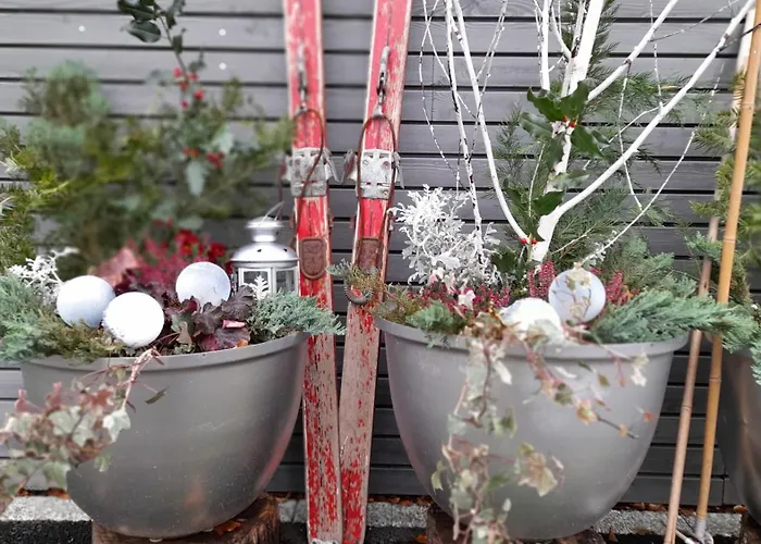 Vakantiehuis La Loge Du Pic Noir Dabo